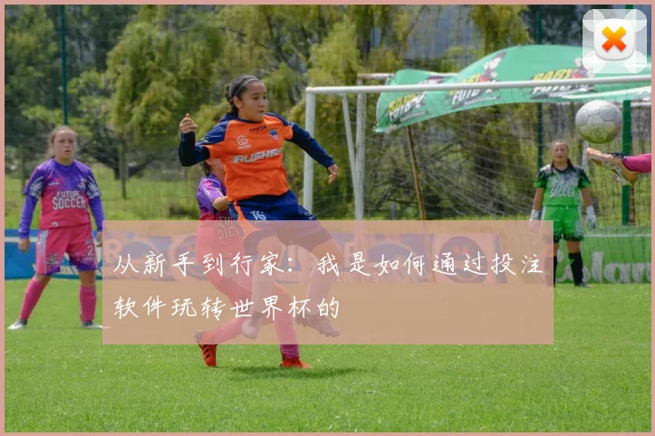 从新手到行家：我是如何通过投注软件玩转世界杯的