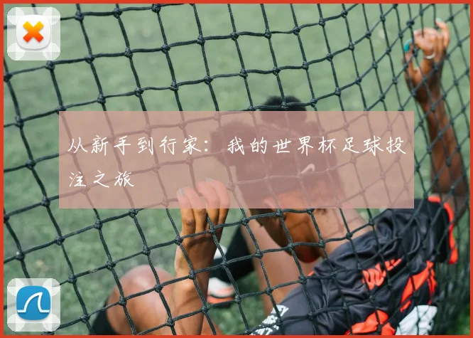 从新手到行家：我的世界杯足球投注之旅