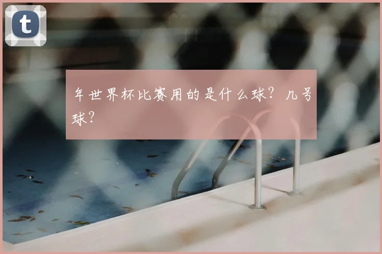 年世界杯比赛用的是什么球?几号球?