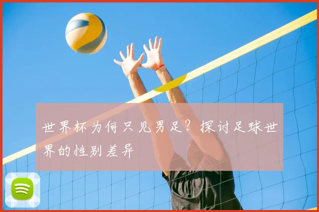 世界杯为何只见男足？探讨足球世界的性别差异