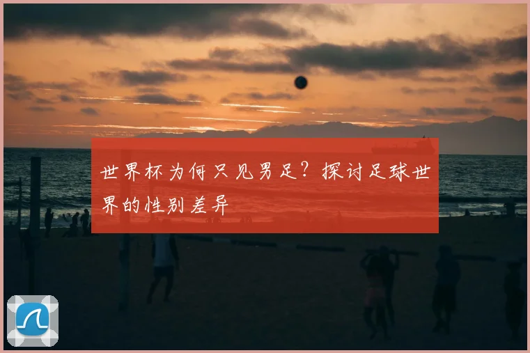 世界杯为何只见男足？探讨足球世界的性别差异