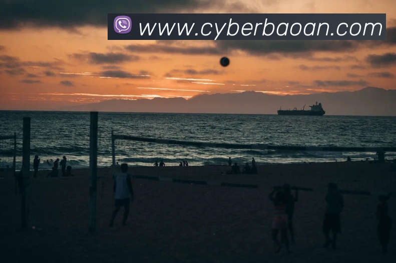 开云手机在线登录界面服务体系